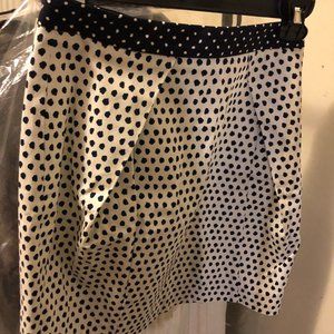 Zara blue dot skirt NEW